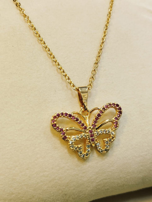 butterly collection